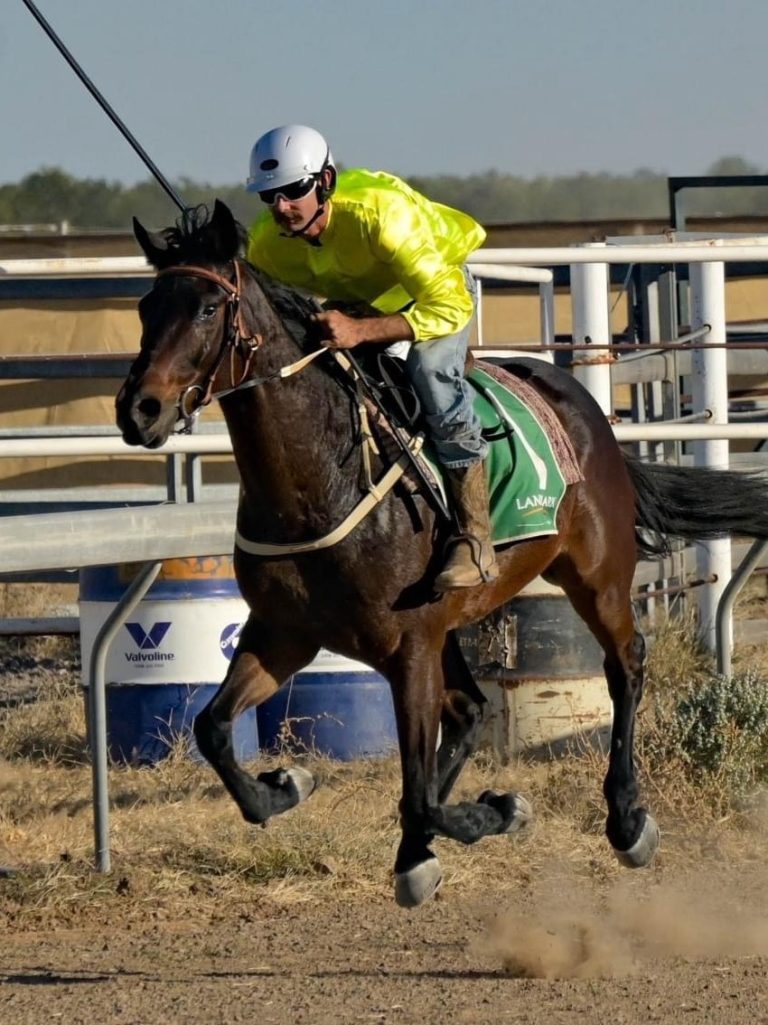 15yo ‘Phar Lap of the Barkly’ ends career with sixth Gold Cup on the trot