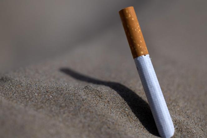France imposes smoking ban on beaches and parks