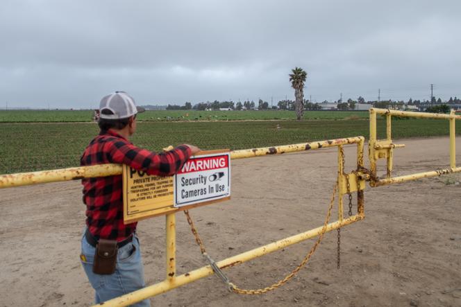In California, protests grow against raids targeting undocumented farmworkers