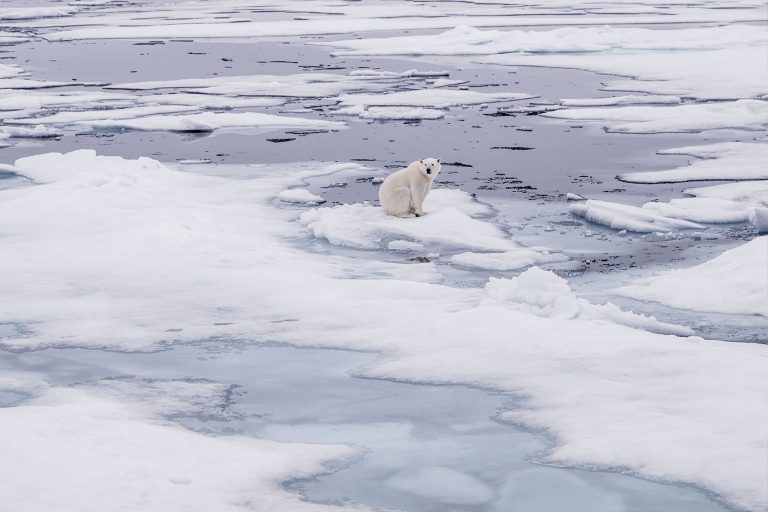 Republicans and climate change