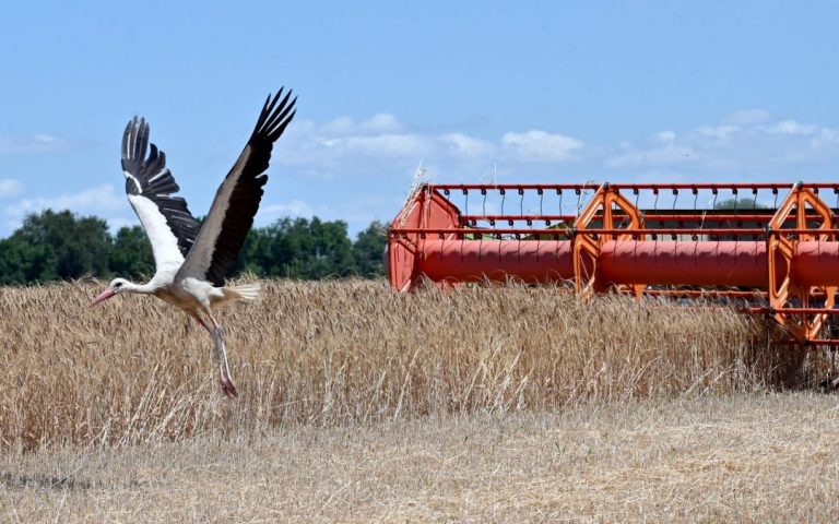 The EU announces a new agreement with Ukraine on the import of agricultural products