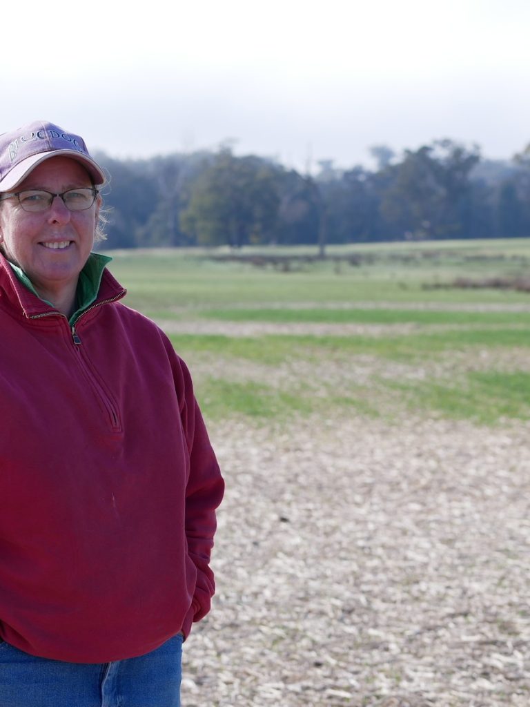 Farmers call for financial assistance as ‘green drought’ takes a toll