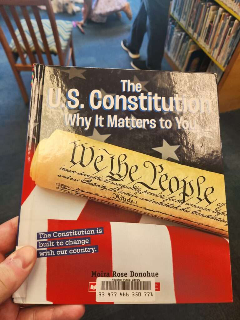 Constitutional Law, in Pop Culture