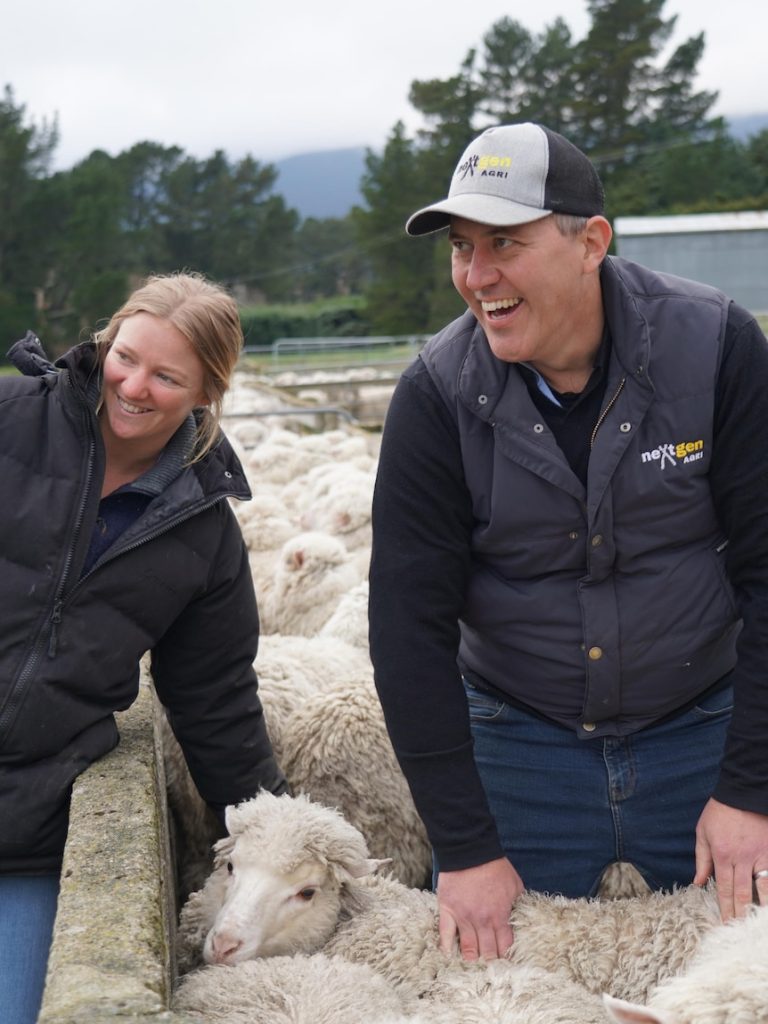 Breeder makes breakthrough in fight against dreaded sheep disease