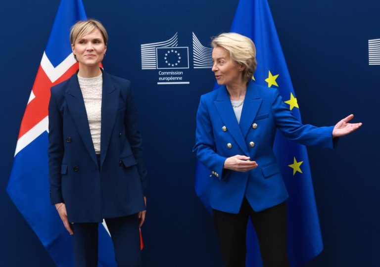 Icelanders support reboot of EU accession talks, foreign minister says