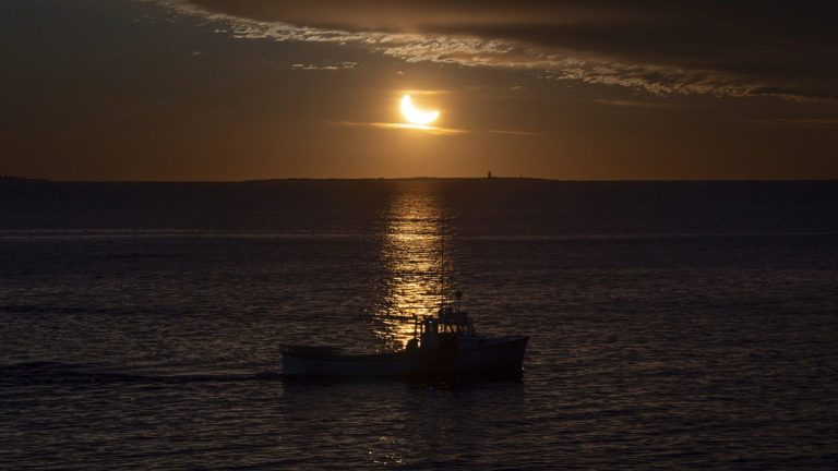 Eye on the sky: Northern Hemisphere witnesses partial solar eclipse on Saturday