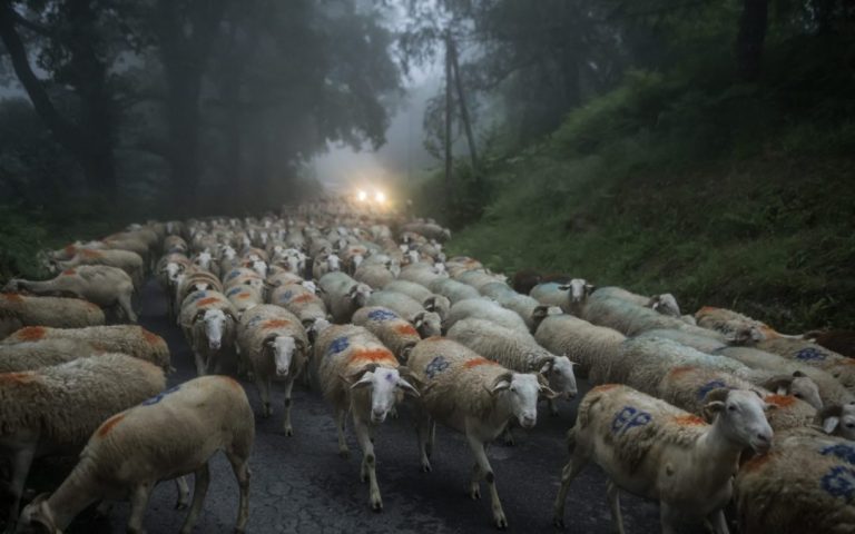 Budget PAC: the French Minister of Agriculture regrets the Commission’s proposal