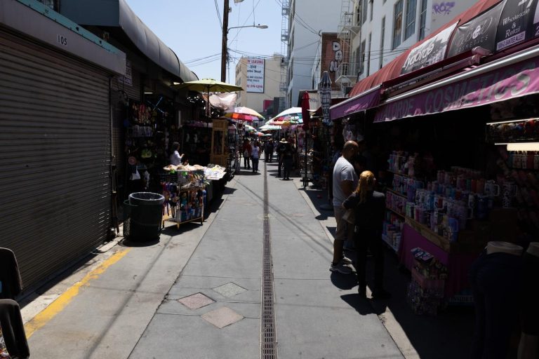 How immigration raids are reshaping Los Angeles