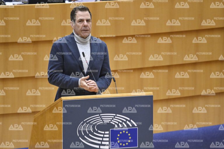 EU Parliament received request to lift immunity from Vilimsky