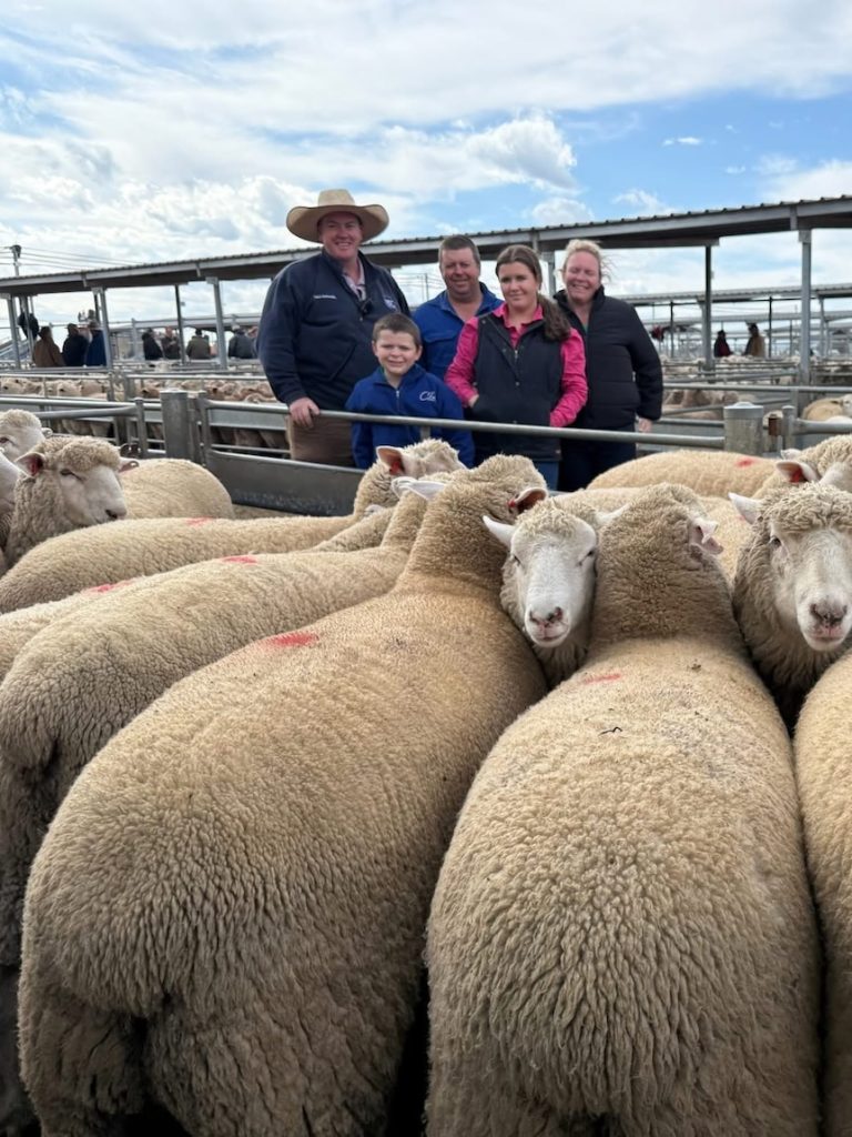 Lamb price record smashed again as drought impacts supply