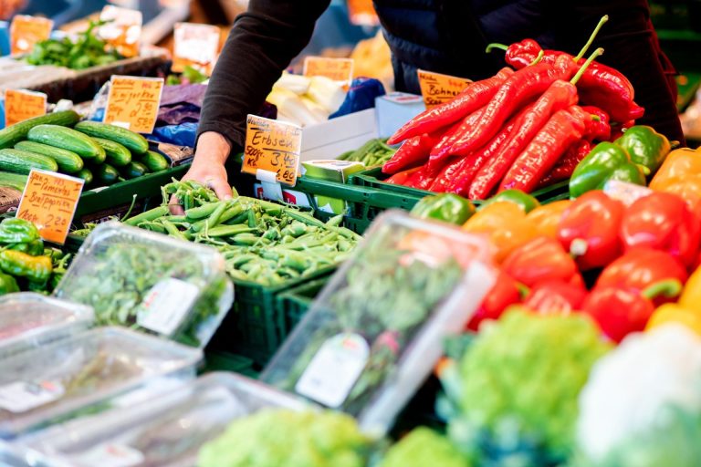 Brussels opens proceedings against Portugal for failures in rules on fruits, vegetables, and seeds