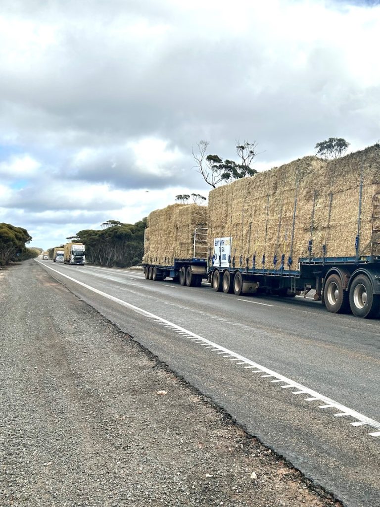 West Australian farmers launch relief convoy for drought-stricken South Australia