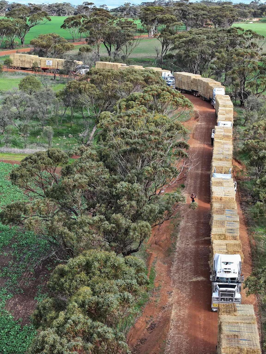Convoy of drought relief trucks complete trek across Nullarbor