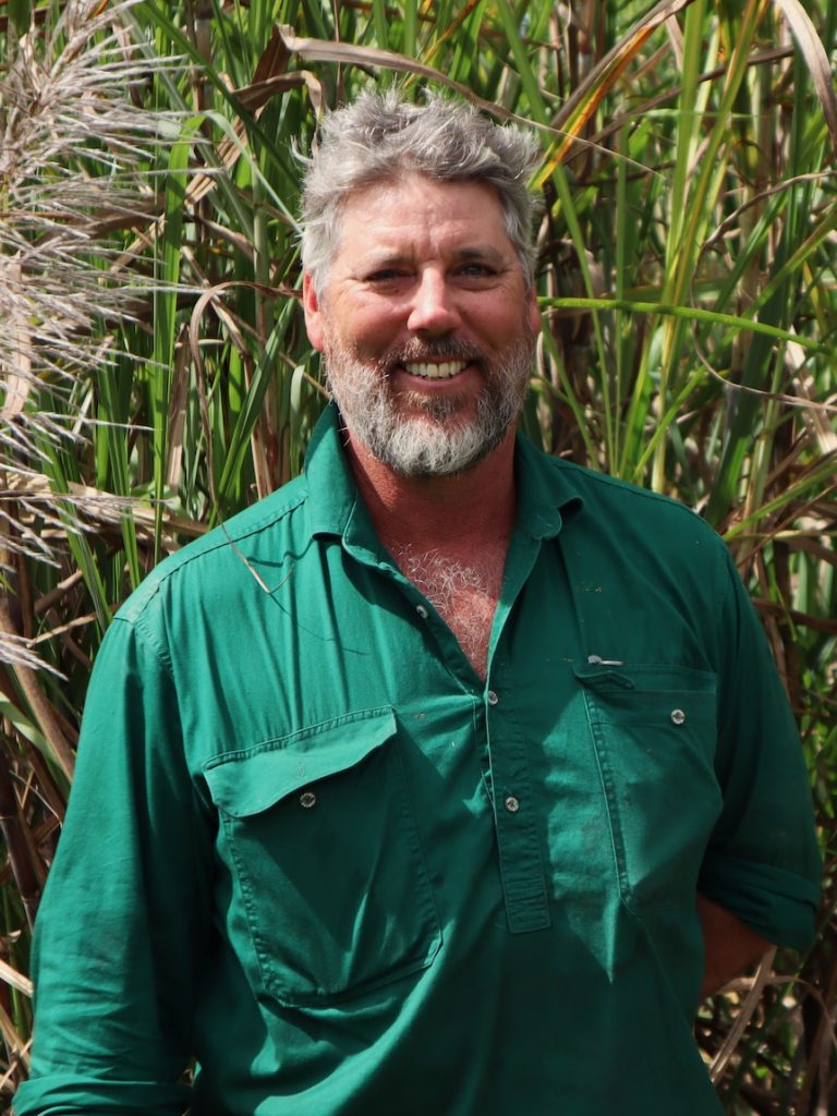 Mossman sugarcane growers trial new crops due to mill closure