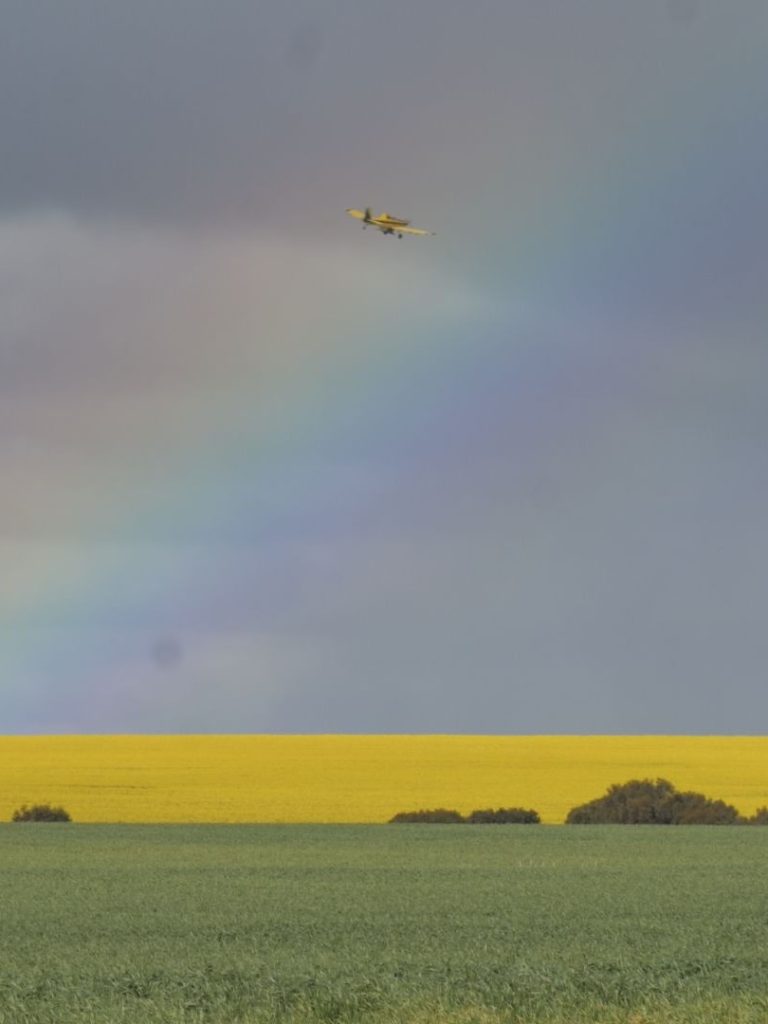 Farmers call in air support after double-digit rainfall sweeps WA
