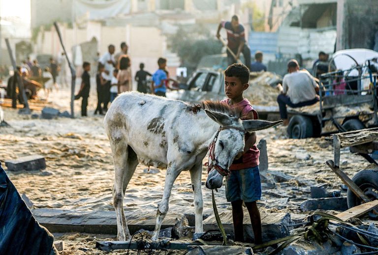Deadly partnership: US, Israel share blame for Gaza catastrophe
