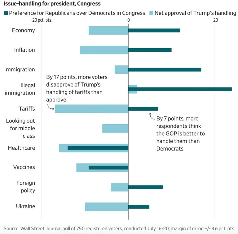Why Is Democratic Favorability at a 35-Year Low?