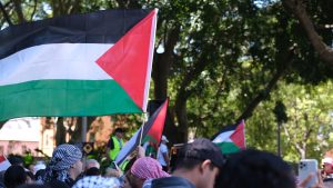 Albanese Wants International Cover Before Australia Recognizes Palestine as a State