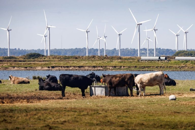 UK fights to preserve animal welfare standards in Brexit reset deal