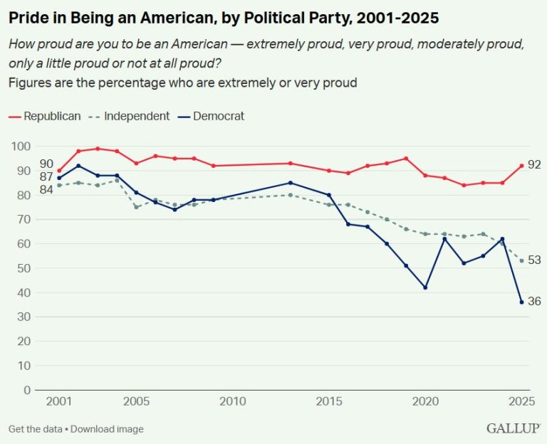 How Democrats Can Maintain Their Patriotism in the Trump Era