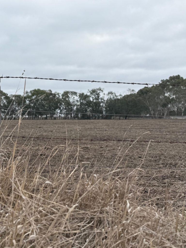 What will it take to break the drought in Victoria?