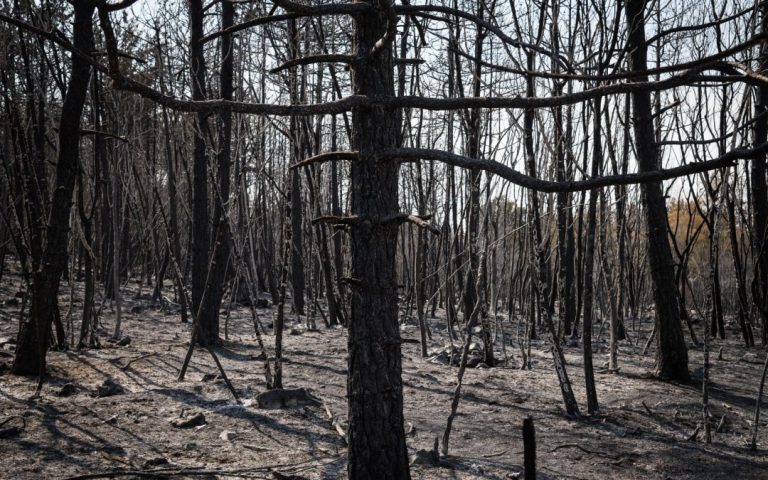 Eurobarometer: For Slovenians, climate change is a serious threat