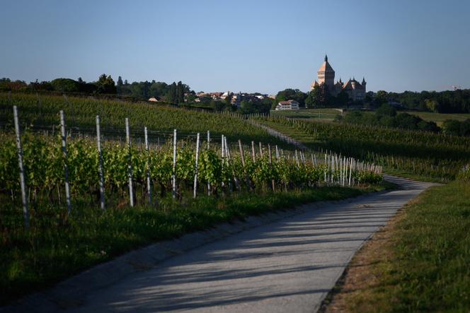 The Swiss should drink more wine, says minister