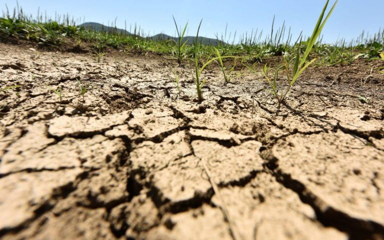 2040 emissions target: Where the EU’s climate policy is headed