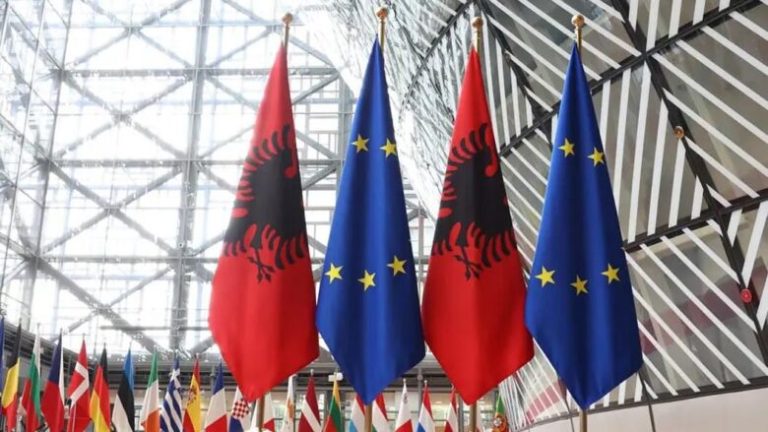 The authorities in Albania assess the EP report as an incentive to continue reforms