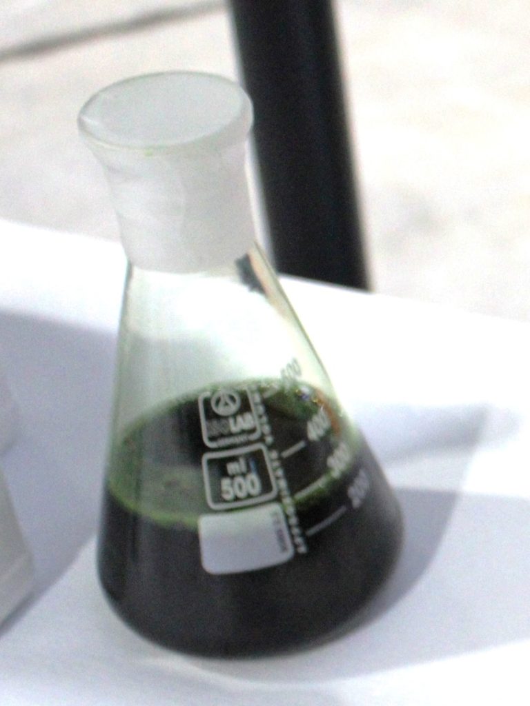 Groundbreaking algae and sunlight tech ‘making sewage treatment sexy’