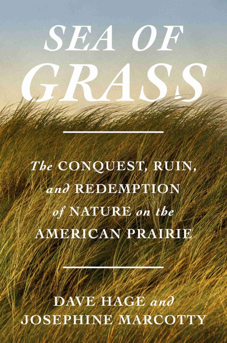 A Panoramic Portrait of America’s Vast Grasslands
