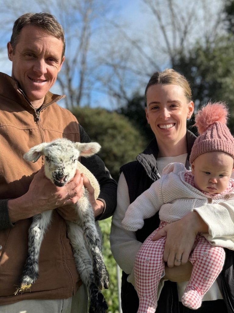 Cow’s milk alternative tastes like ‘ice cream’, sheep dairy farmers say