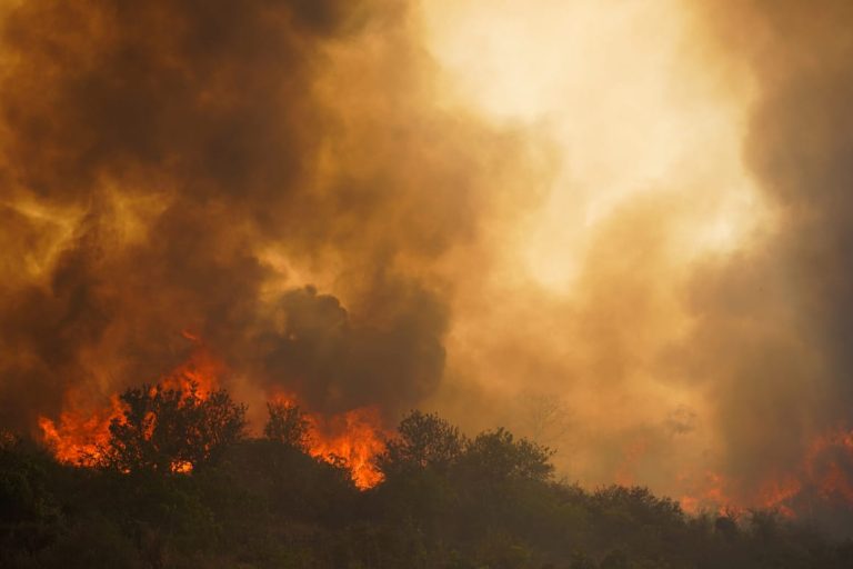 Confused politics fans the flames of southern Europe’s wildfires