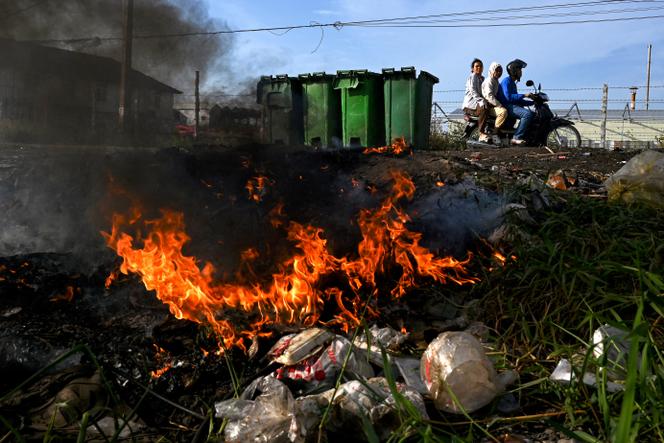 Scientists issue warning on plastic pollution ahead of last-chance global negotiations