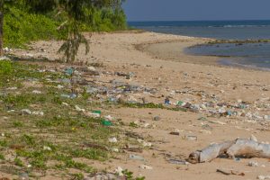 Plastics: The New and Final Colonizer