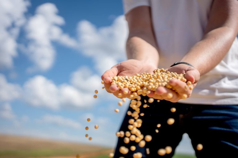 US biofuel proposal may tighten Asia’s soy supply