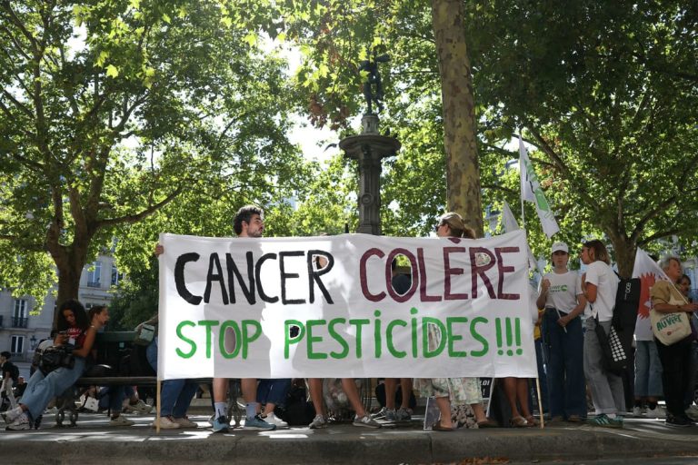 France’s top court blocks comeback of controversial insecticide