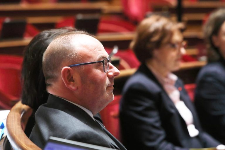Loi Duplomb : le Conseil constitutionnel censure la réintroduction de l’acétamipride