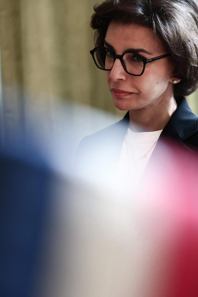 Direct mayoral elections in Paris, Lyon, Marseille get green light from France’s top court