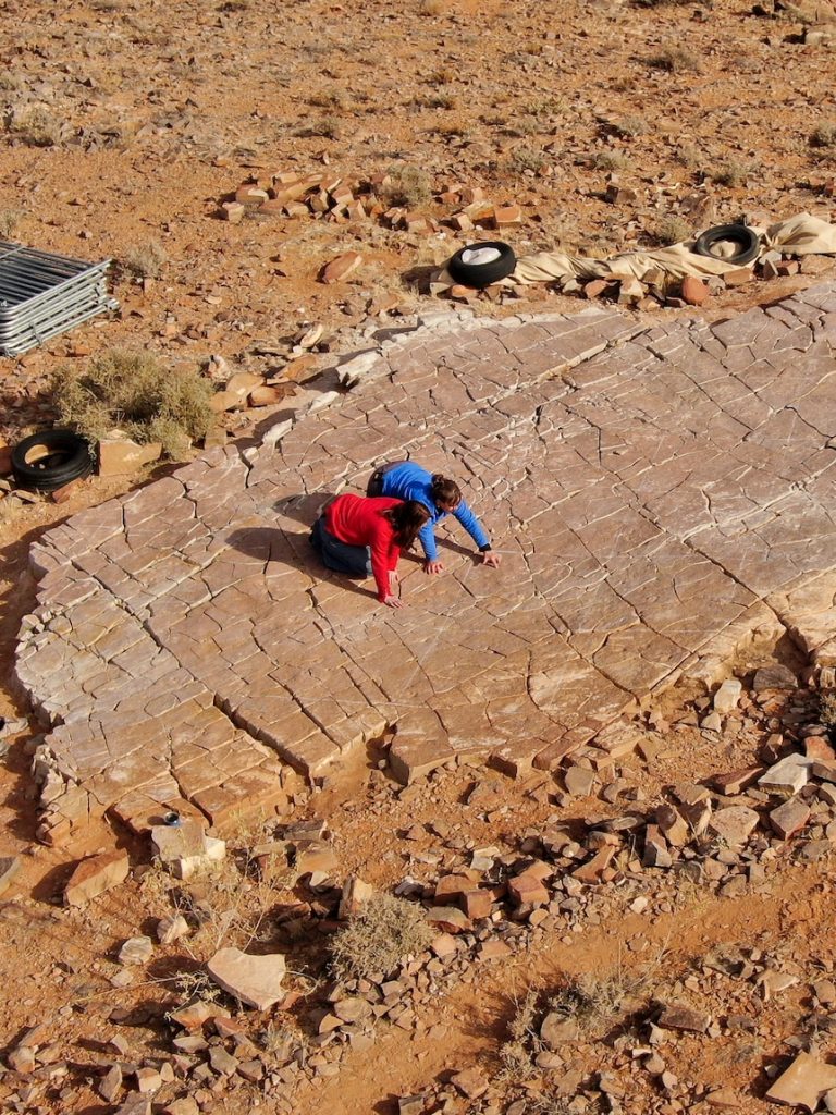 Sale of fossil-rich Nilpena cattle station protects ancient treasures