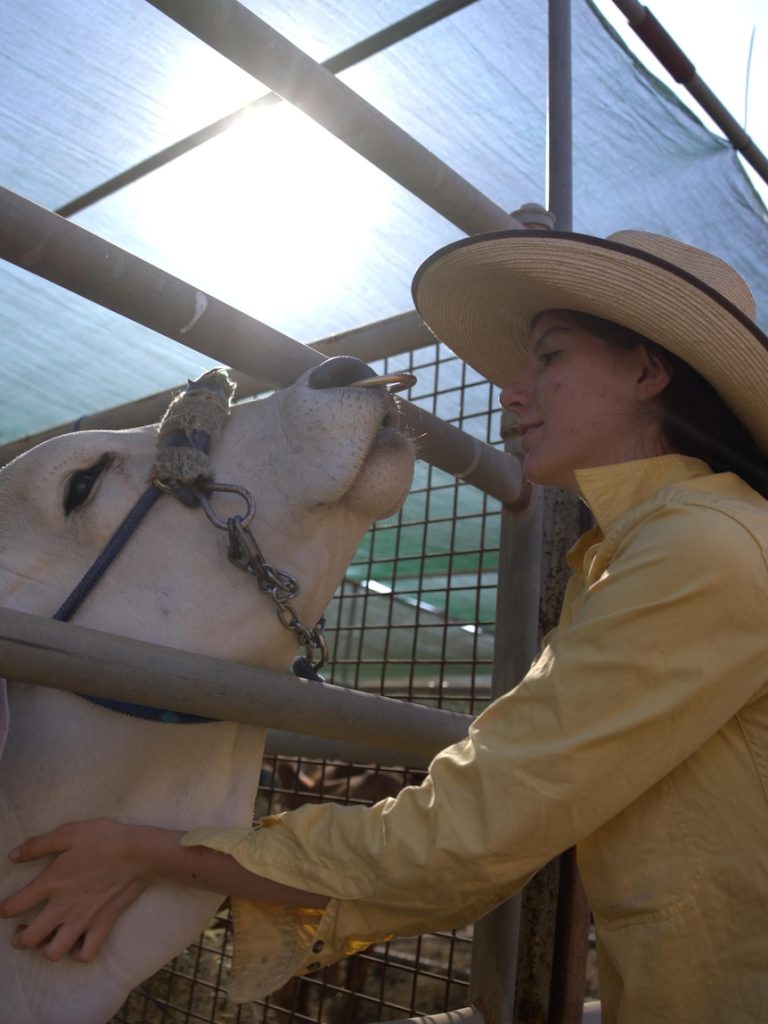 Top End town fights vet shortage by training teenagers in animal care
