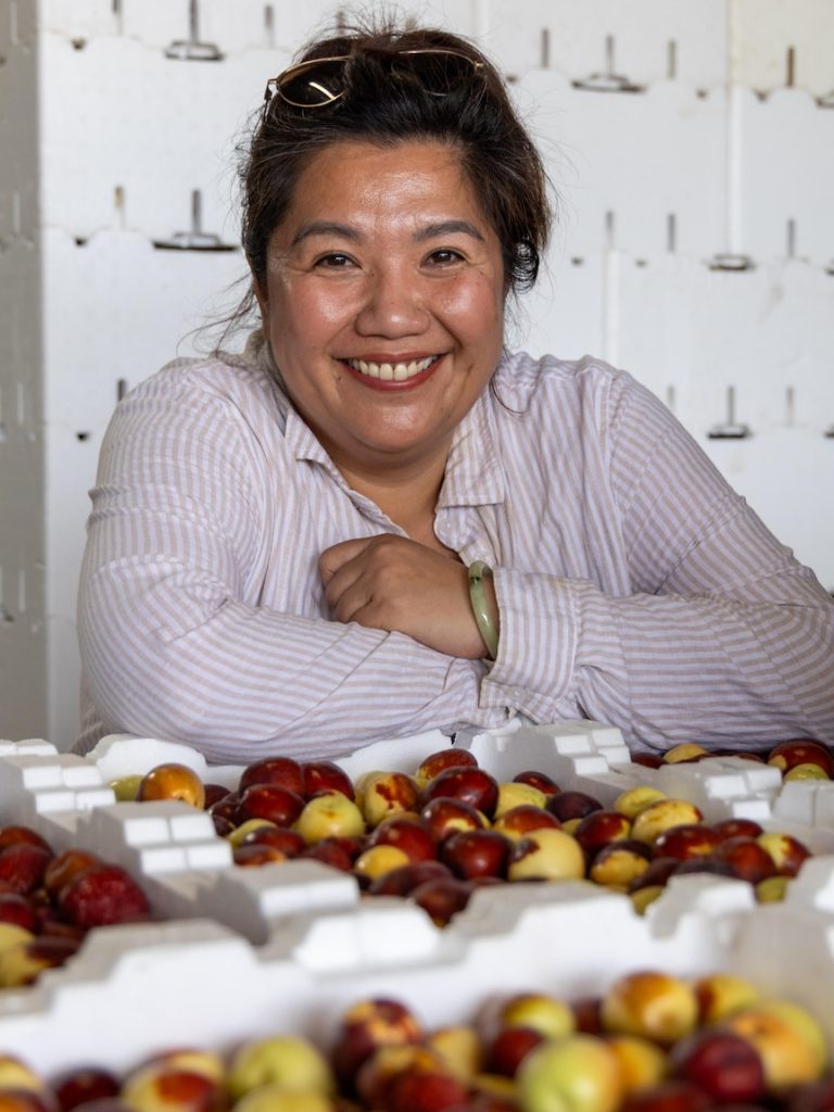 Farmers bet on nutritionally rich jujubes becoming next food trend