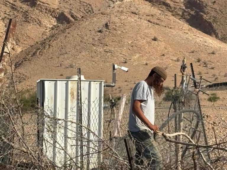 Palestinians Displaced in West Bank by Israeli Settlers Ask: Where Can We Go?