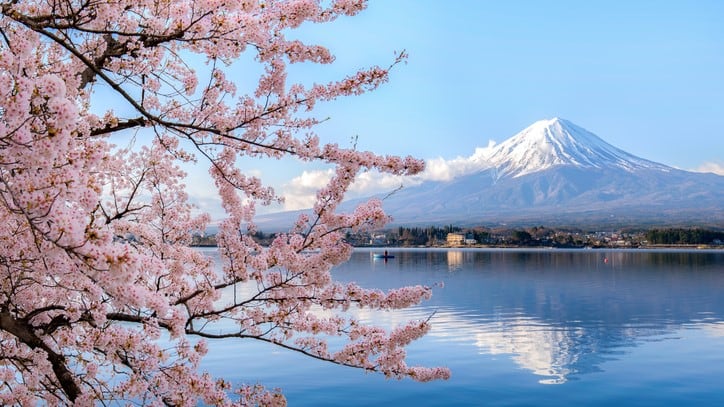 Japan Focus: Meiji’s call to prioritise protein intake, GM food awareness gaps, personalised health trends, and more