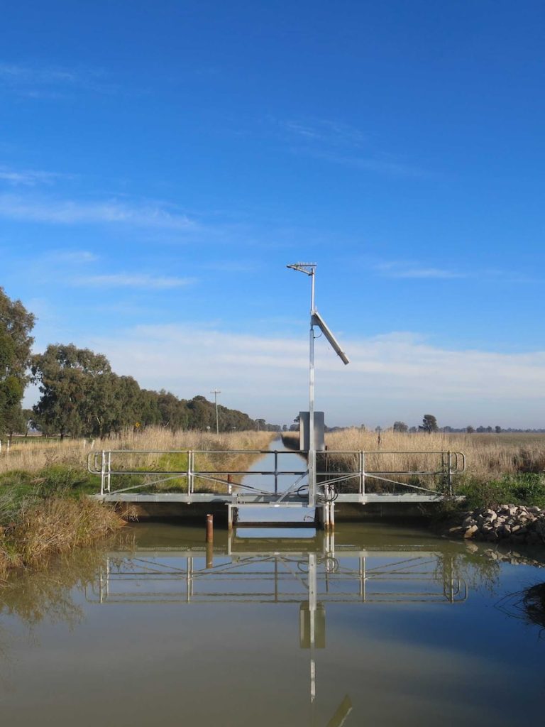 MDBA defends deliberate forest flooding in billion-dollar class action