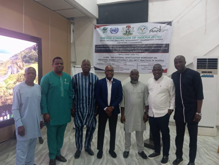 Nigeria Unveils Industrial Energy Efficiency Database To Drive Sustainable Growth