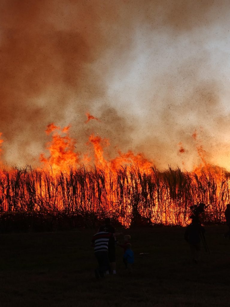 Once a relic of the past, cane fires are burning in Queensland again