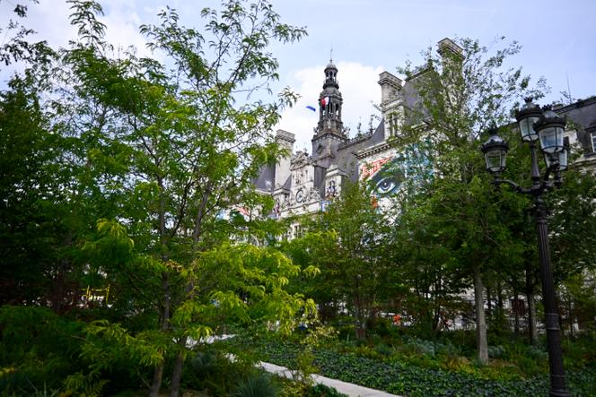 Urban forests spread their cover in a time of climate change