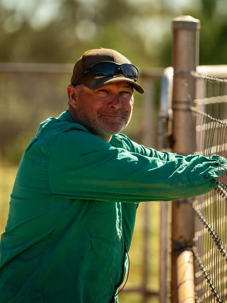 From washed out to weathering on, stock losses cut deep in outback Qld