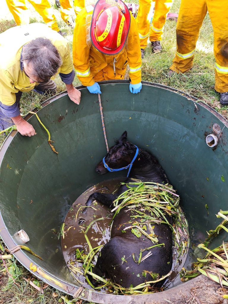 Victorian firefighters who save big animals send their own cry for help